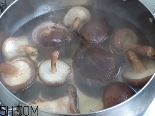 香菇和白蘿卜可以一起吃嗎？香菇和白蘿卜一起吃有什么好處？