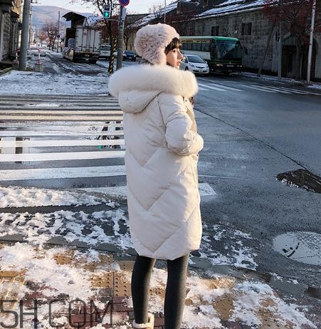 鵝絨羽絨服大概多少錢？白鵝絨羽絨服多少錢一件？