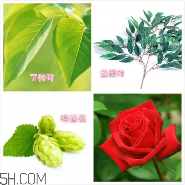 rmk卸妝膏怎么用 rmk卸妝膏使用方法 rmk卸妝膏怎么用 rmk卸妝膏使用方法