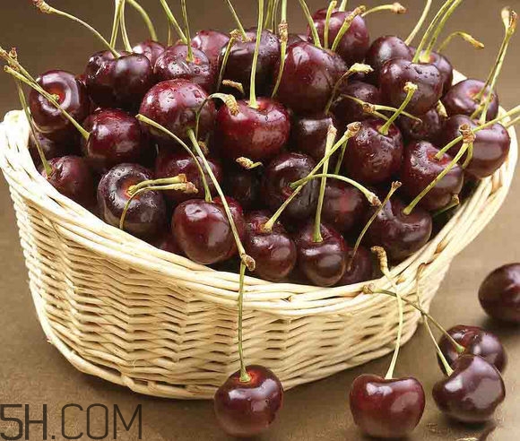 如何挑選車?yán)遄樱啃迈r車?yán)遄拥奶暨x方法？