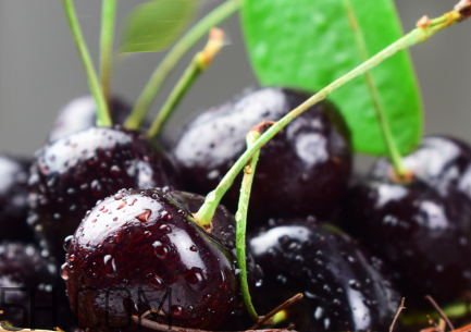 如何挑選車?yán)遄?？新鮮車?yán)遄拥奶暨x方法？