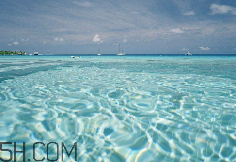 雙氧水是酸性還是堿性？雙氧水是純凈物還是混合物？