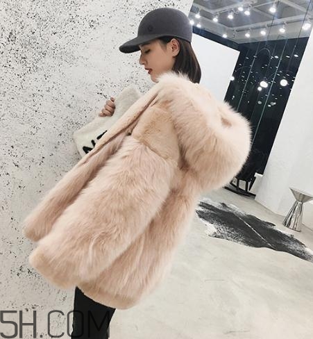 獺兔毛和兔毛哪個(gè)好？獺兔毛和兔毛的區(qū)別