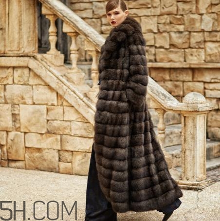 紫貂皮草一般多少錢？紫貂皮草價格