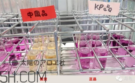 太陽社玻尿酸孕婦能用嗎？怎樣辯別真假太陽社玻尿酸？