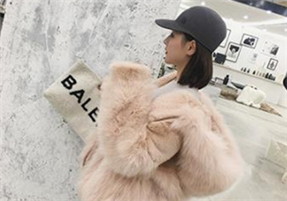 獺兔毛和兔毛哪個(gè)好？獺兔毛和兔毛的區(qū)別