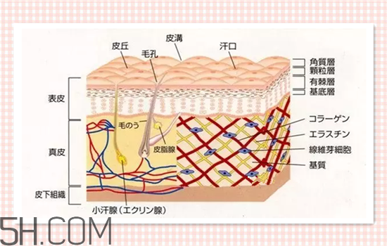 水光針可以祛斑嗎？涂抹式水光針的效果好嗎？