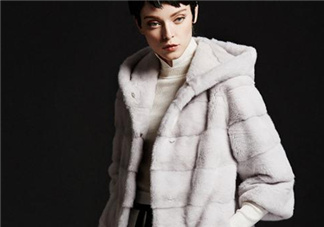 水貂皮草怎么鑒別？如何辨別水貂皮草真假？