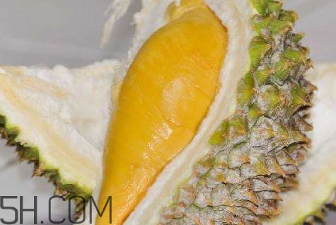 一個(gè)榴蓮的熱量是多少 一瓣榴蓮的熱量是多少 一個(gè)榴蓮的熱量是多少 一瓣榴蓮的熱量是多少