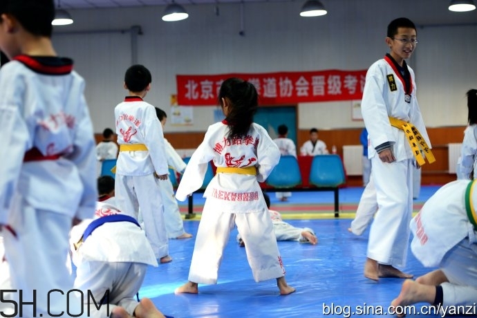 跆拳道考黃帶有哪些要求？跆拳道可以跳級(jí)考嗎？