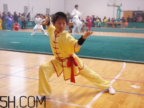 武術(shù)有哪些好處？練武術(shù)有什么好處？