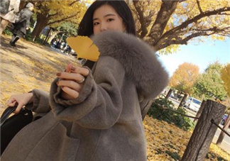 羊駝絨和羊絨哪個好？羊駝絨和羊絨的區(qū)別