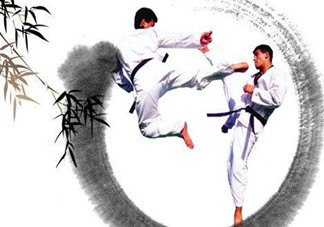 十五歲學(xué)跆拳道遲嗎？十五歲能學(xué)跆拳道嗎？