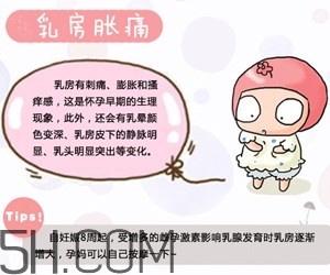 懷孕了應該如何調理？懷孕了如何根據體質調養(yǎng)？