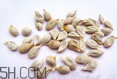 不小心吃了橘子籽怎么辦？橘子籽可以生吃嗎？