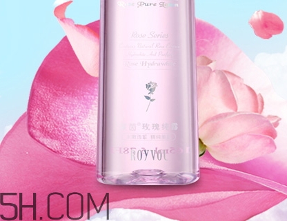 royvol萊茵是什么牌子？royvol萊茵是哪個(gè)國(guó)家的