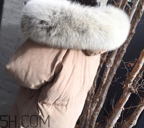 狐貍毛領(lǐng)怎么清洗？狐貍毛領(lǐng)可以用水洗嗎？