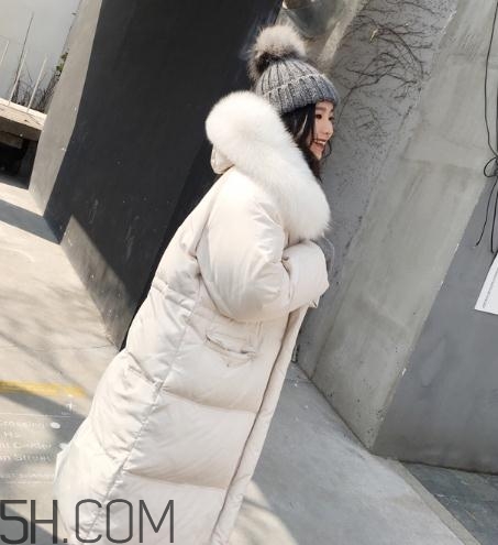 狐貍毛領會掉毛嗎？狐貍毛領掉毛怎么辦？