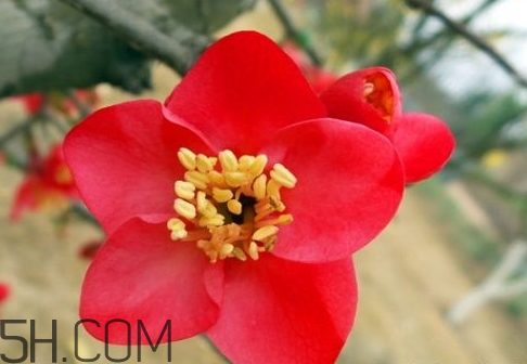 春占是什么時候 2018春占是什么時候 春占是什么時候 2018春占是什么時候