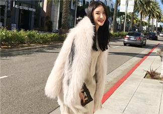 狐貍毛皮草一般多少錢？狐貍毛皮草價格