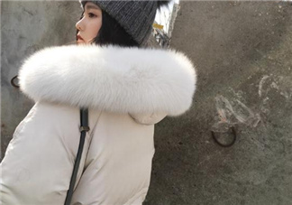 狐貍毛領(lǐng)會掉毛嗎？狐貍毛領(lǐng)掉毛怎么辦？