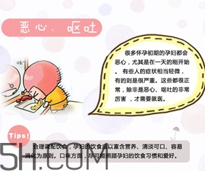 懷孕了應該如何調理？懷孕了如何根據體質調養(yǎng)？