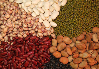 吃什么對前列腺有益？什么食物有益于前列腺？