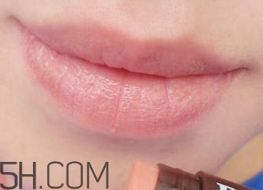 口紅是用什么做的？可以吃的口紅品牌推薦