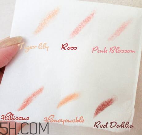 口紅是用什么做的？可以吃的口紅品牌推薦