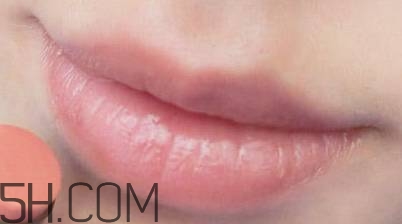 口紅是用什么做的？可以吃的口紅品牌推薦