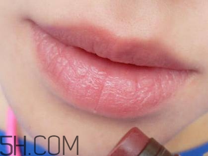 口紅是用什么做的？可以吃的口紅品牌推薦