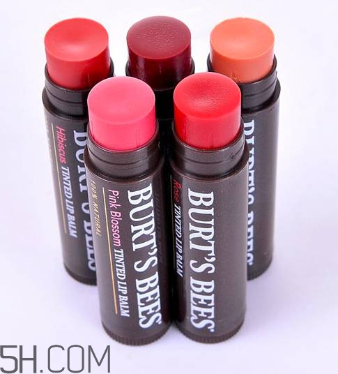 口紅是用什么做的？可以吃的口紅品牌推薦