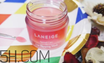 蘭芝夜間唇膜什么成分？孕婦能用嗎？