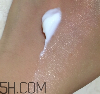 雅頓面霜多少錢？雅頓面霜價格