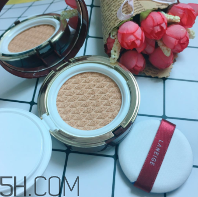 蘭芝氣墊霜控油嗎？蘭芝氣墊霜適合油皮嗎？