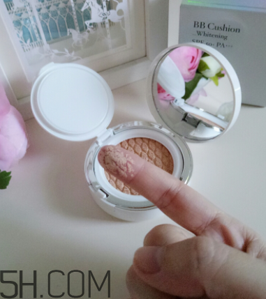 蘭芝啞光氣墊霜哪個色號適合黃皮？使用心得