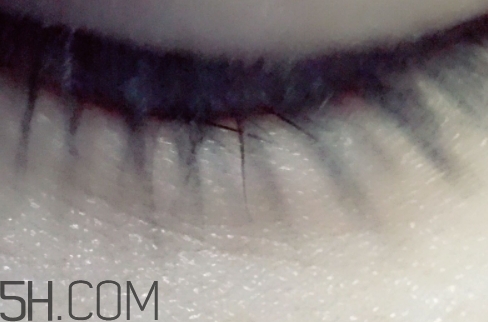 雅頓和嬌韻詩哪個好用？伊麗莎白雅頓和嬌韻詩哪個檔次高