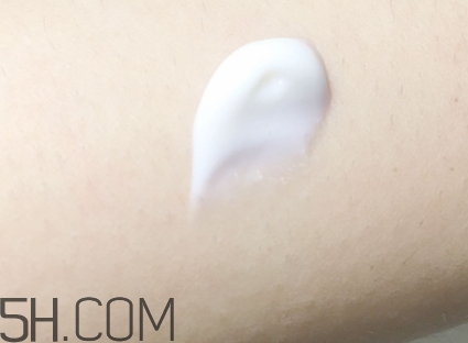 雅頓和資生堂哪個好用？伊麗莎白雅頓和資生堂對比