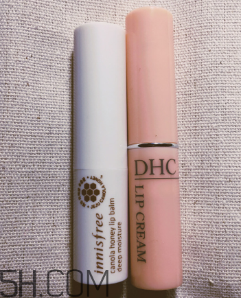 悅詩(shī)風(fēng)吟唇膏哪款好用？悅詩(shī)風(fēng)吟唇膏測(cè)評(píng)