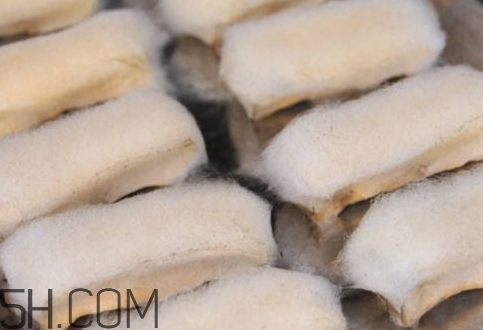 霉豆腐長(zhǎng)白毛可以吃嗎 霉豆腐為什么長(zhǎng)白毛 霉豆腐長(zhǎng)白毛可以吃嗎 霉豆腐為什么長(zhǎng)白毛