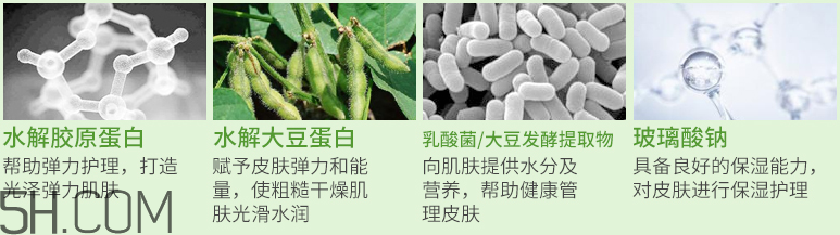 AHC PCG膠原蛋白面膜 AHC PCG膠原蛋白面膜
