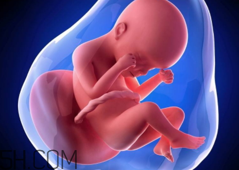 元旦同房懷孕什么時(shí)候 元旦懷孕的什么時(shí)候生 元旦同房懷孕什么時(shí)候 元旦懷孕的什么時(shí)候生