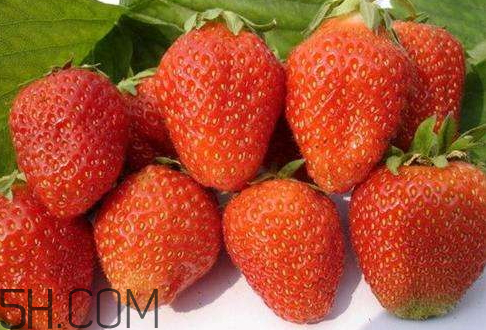 甜寶和章姬草莓的區(qū)別 甜寶和紅顏哪個好吃 甜寶和章姬草莓的區(qū)別 甜寶和紅顏哪個好吃