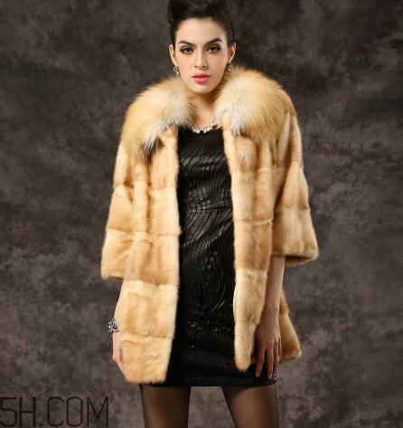 黃金貂是什么？黃金貂和水貂哪個(gè)好？