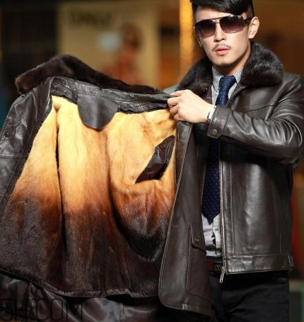 黃金貂是什么？黃金貂和水貂哪個(gè)好？