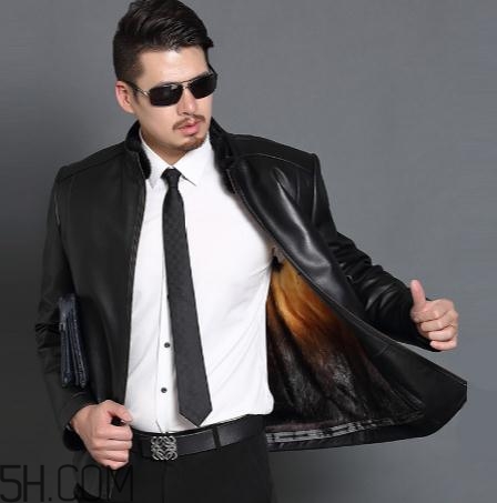 黃金貂是什么？黃金貂和水貂哪個(gè)好？