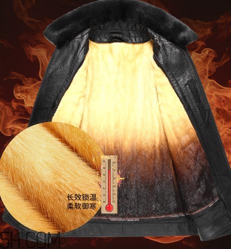 黃金貂內(nèi)膽真假怎么看？黃金貂內(nèi)膽真假界別