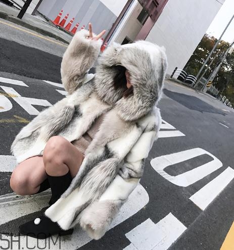 十字貂和水貂哪個(gè)好？十字貂和水貂哪個(gè)貴？