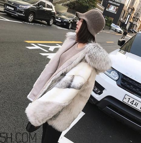 十字貂和水貂哪個(gè)好？十字貂和水貂哪個(gè)貴？