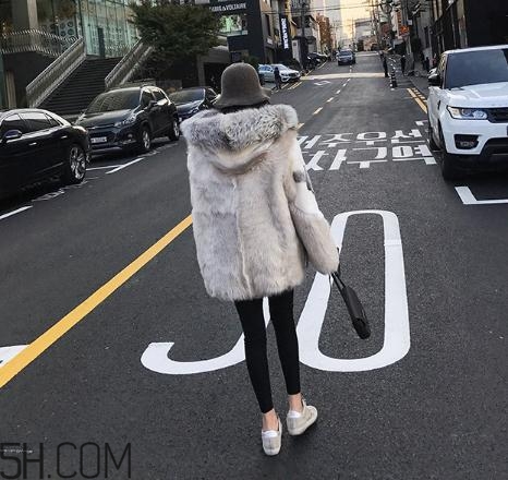 十字貂和水貂哪個(gè)好？十字貂和水貂哪個(gè)貴？